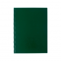 Plastic file A4 SPORO vertical pockets green