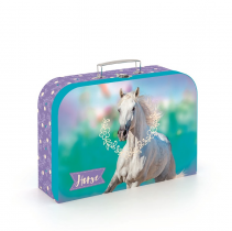 Laminated children's case Horse