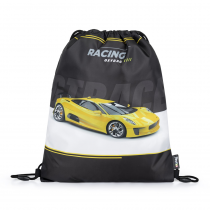 Sport sack car