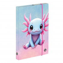 Box na sešity A5 Axolotl