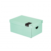 Lamino storage box Pastelini green