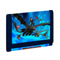 Wallet How to Train Your Dragon